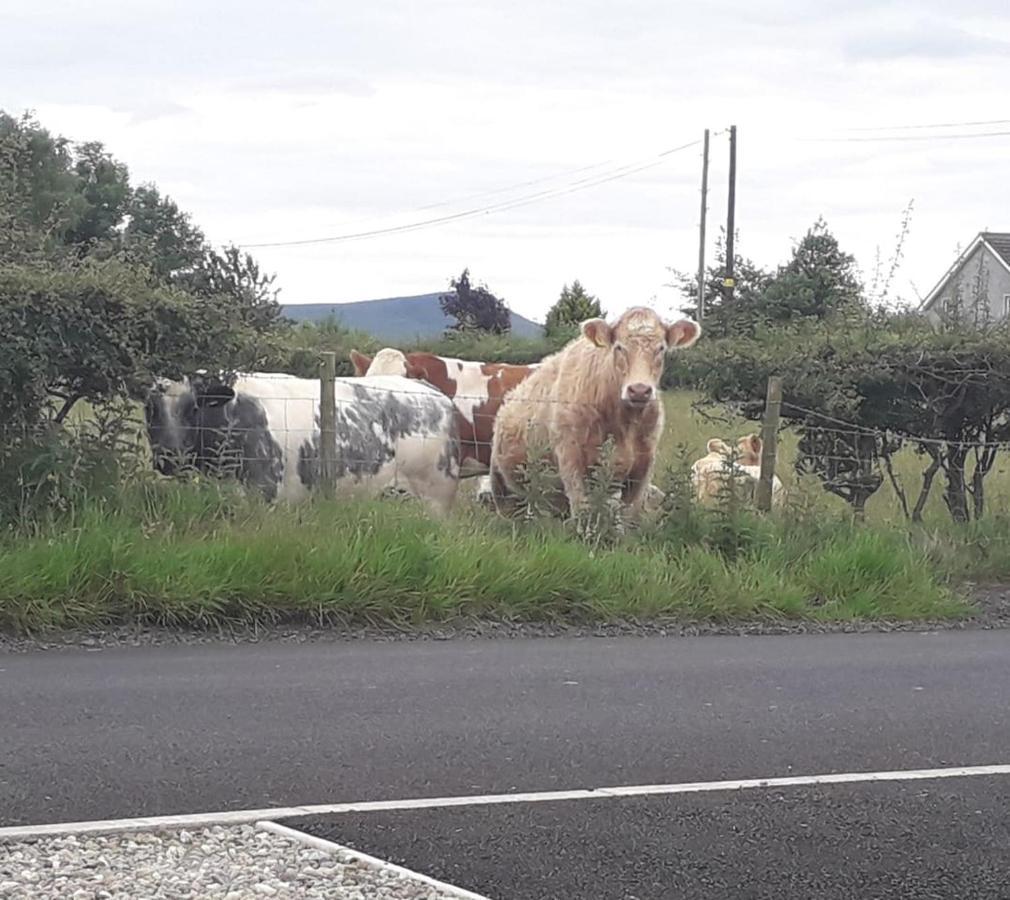 Mountain View Cottage Limavady Esterno foto